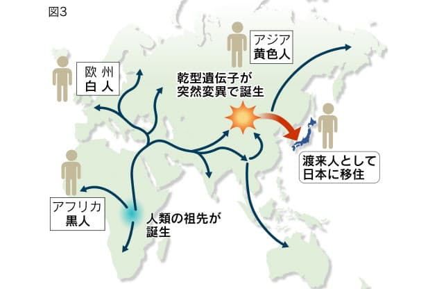 耳かきで分かるあなたの先祖 意外な勢力図 Nikkei Style 耳かきで分かるあなたの先祖 意外な勢力図 Nikkei Style