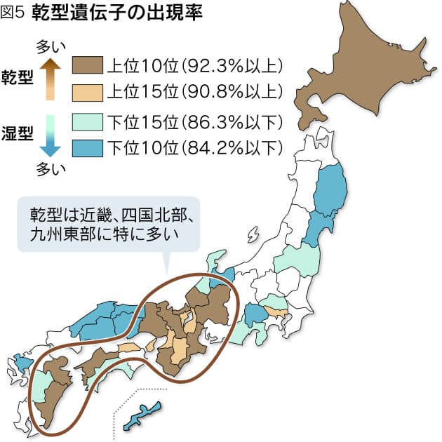 耳かきで分かるあなたの先祖 意外な勢力図 Nikkei Style 耳かきで分かるあなたの先祖 意外な勢力図 Nikkei Style