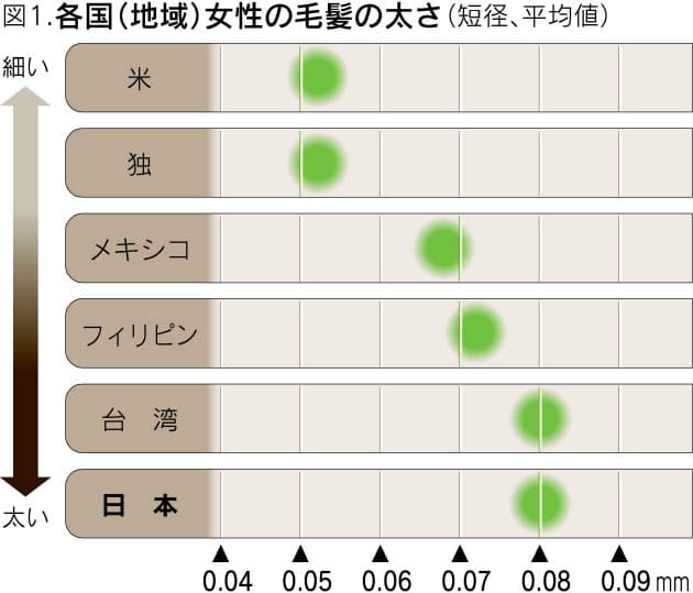 日本人の髪の謎 太くて直毛なのにはワケがある Nikkei Style 日本人の髪の謎 太くて直毛なのにはワケがある Nikkei Style
