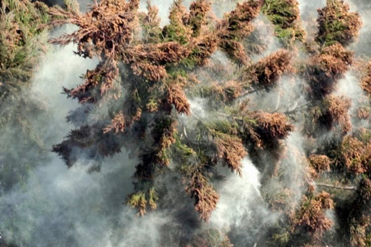 花粉症対策は先手必勝で 効果続く貼り薬も登場 Nikkei Style 花粉症対策は先手必勝で 効果続く貼り薬も登場 Nikkei Style