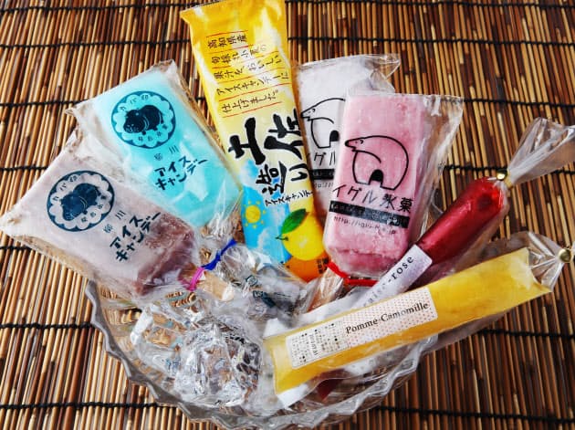 一口かじれば北極気分 夏の果実アイスキャンディー Nikkei Style