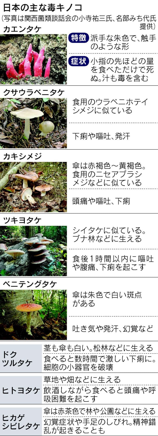 毒キノコの見分け方 俗説に注意 色は無関係 Nikkei Style 毒キノコの見分け方 俗説に注意 色は無関係 Nikkei Style