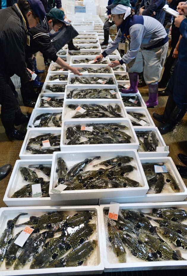 フグ 大阪が6割食べ尽くす 調理資格も取りやすく Nikkei Style フグ 大阪が6割食べ尽くす 調理資格も取りやすく Nikkei Style