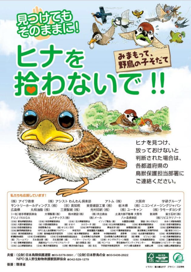 巣立って間もない鳥のヒナ むやみに拾わないで Nikkei Style 巣立って間もない鳥のヒナ むやみに拾わないで Nikkei Style