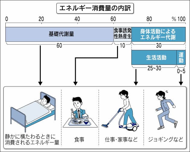 雑誌などで注目の的 基礎代謝で減量 は長期戦 Nikkei Style