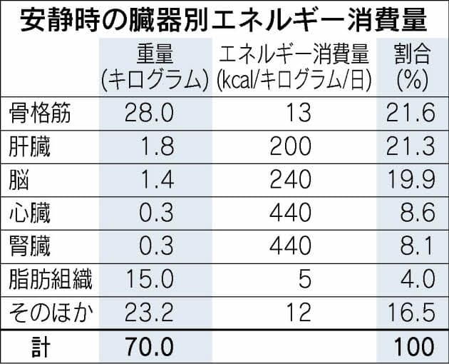 雑誌などで注目の的 基礎代謝で減量 は長期戦 Nikkei Style