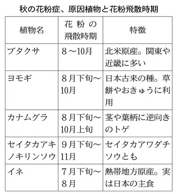 秋の花粉症対策 検査で風邪と見極め Nikkei Style 秋の花粉症対策 検査で風邪と見極め Nikkei Style