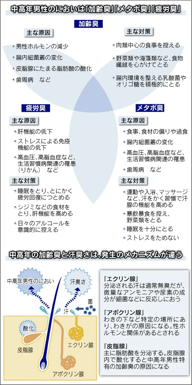 加齢臭 メタボ臭 疲労臭 気になる 体のにおい の抑え方 Nikkei Style