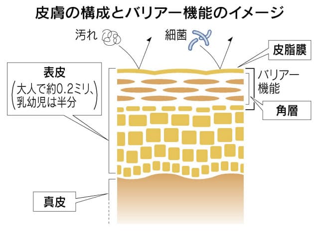 誤ったケアは逆効果 赤ちゃんの肌 夏の暑さに要注意 Nikkei Style 誤ったケアは逆効果 赤ちゃんの肌 夏の暑さに要注意 Nikkei Style