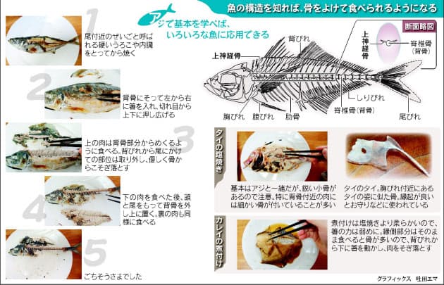 魚を上手に食べるコツ 箸の使い方より骨の構造理解 Nikkei Style 魚を上手に食べるコツ 箸の使い方より骨の構造理解 Nikkei Style