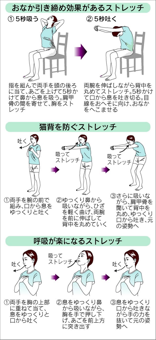 筋肉に弾力性 おなか引き締め 猫背改善 深い呼吸で若返る Nikkei Style 筋肉に弾力性 おなか引き締め 猫背改善 深い呼吸で若返る Nikkei Style