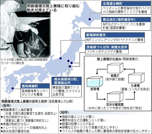 水槽でトラフグも 陸上養殖 なぜ増える Nikkei Style 水槽でトラフグも 陸上養殖 なぜ増える Nikkei Style