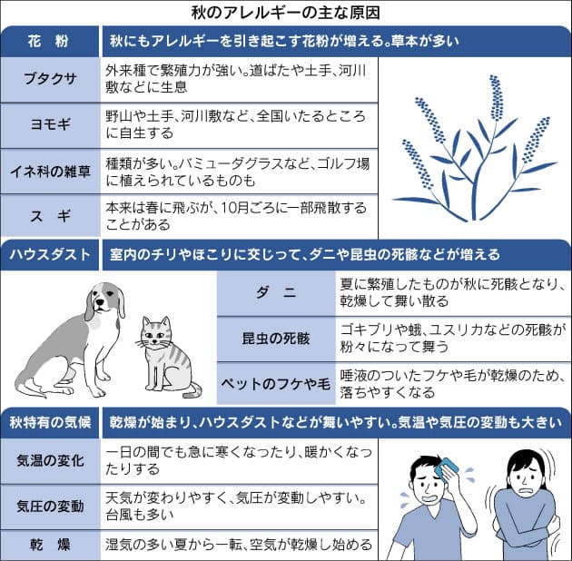 雑草の花粉が舞う季節 アレルギー 秋もご用心 Nikkei Style 雑草の花粉が舞う季節 アレルギー 秋もご用心 Nikkei Style