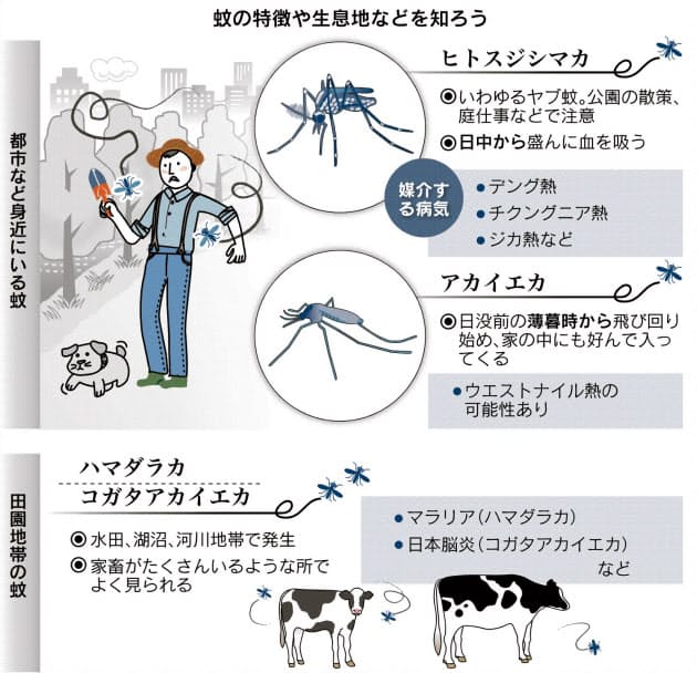 蚊が運ぶ病気を防ごう 汗ふき取り虫よけ使用 Nikkei Style 蚊が運ぶ病気を防ごう 汗ふき取り虫よけ使用 Nikkei Style