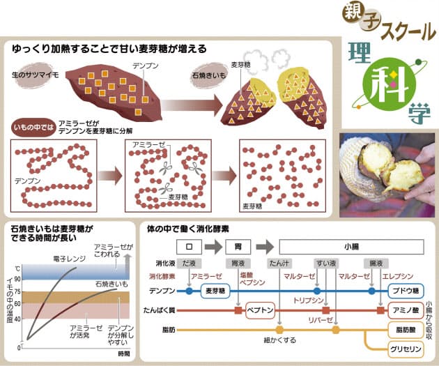 ほくほく石焼きいも どうしてあまーいの Nikkei Style ほくほく石焼きいも どうしてあまーいの Nikkei Style