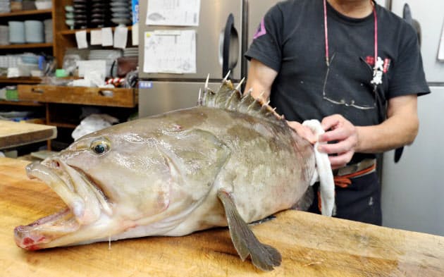 福岡の冬のご褒美 幻の魚 アラ の料理 Nikkei Style 福岡の冬のご褒美 幻の魚 アラ の料理 Nikkei Style