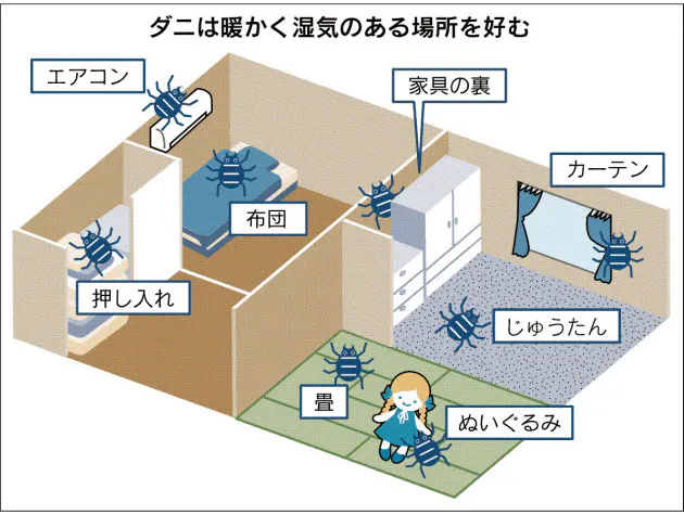 ダニ由来アレルギー 舌下免疫療法 で治療に道 Nikkei Style