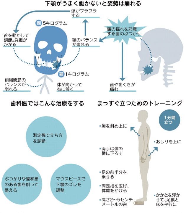 良い姿勢 カギは下顎 適切な揺れでバランス Nikkei Style