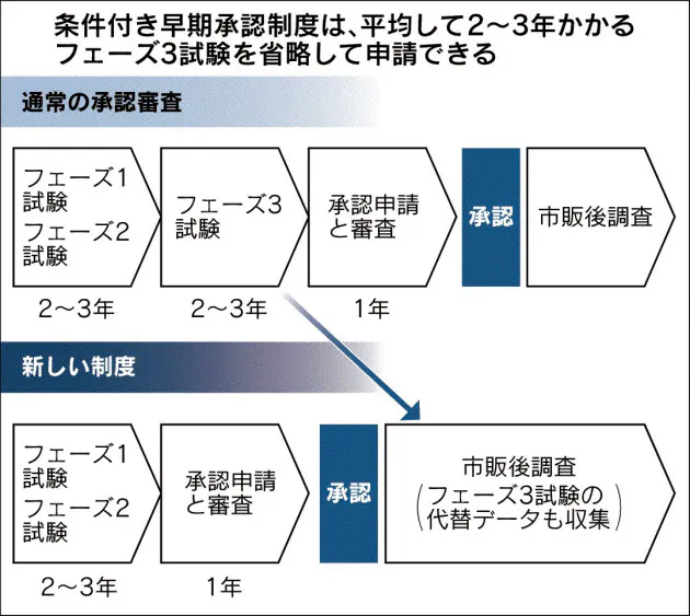 新薬承認スピードアップ がんや希少疾患に特例制度 Nikkei Style