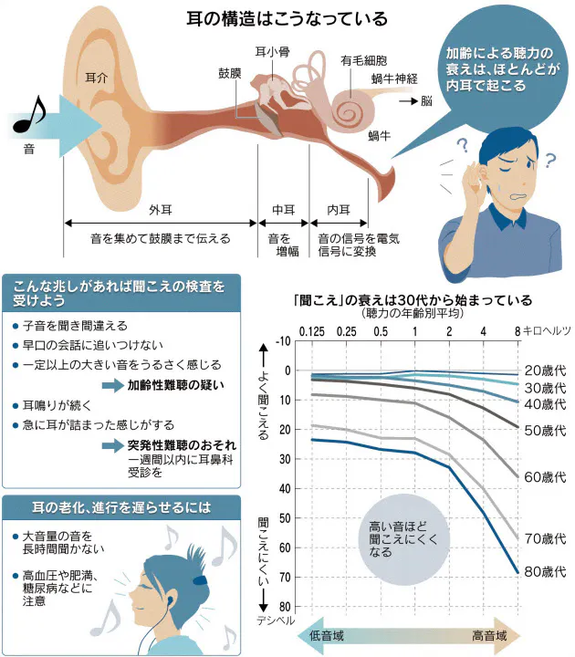 耳の老化は30代から始まる 自覚難しく不安なら受診 Nikkei Style