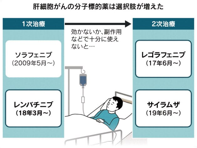 肝臓がん狙い撃つ 分子標的薬 続々 2次治療に光 Nikkei Style