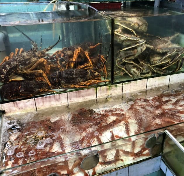 香港 港町の海鮮料理 その場で調理 一人30円 Nikkei Style 香港 港町の海鮮料理 その場で調理 一人30円 Nikkei Style