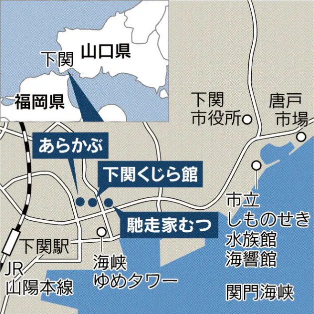 さくさく柔らか かむほどに味深く 下関のクジラ料理 Nikkei Style
