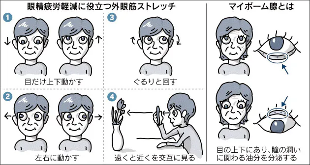 目の痛みや肩こり 隠れた原因を疑う Nikkei Style
