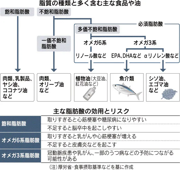 油の摂取 偏りは禁物 脂肪酸 食品ごと特徴 Nikkei Style