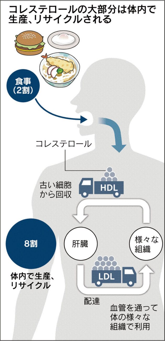 コレステロール摂取基準は撤廃 米国の新食生活指針 Nikkei Style