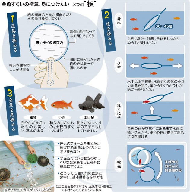 金魚すくい 達人に弟子入りし 技身につける Nikkei Style 金魚すくい 達人に弟子入りし 技身につける Nikkei Style