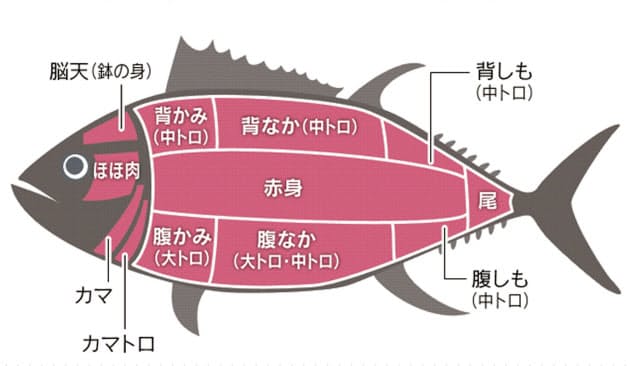 青二才 は出世魚が由来 お魚の常識15問 Nikkei Style 青二才 は出世魚が由来 お魚の常識15問 Nikkei Style