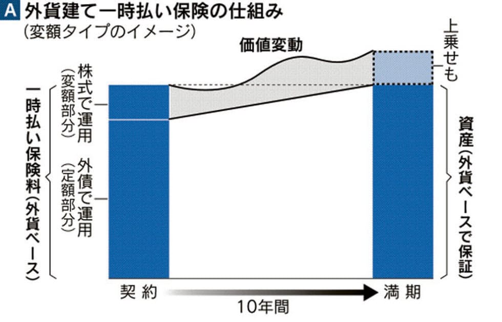 その外貨保険 説明わかった 元本割れや為替リスク Nikkei Style