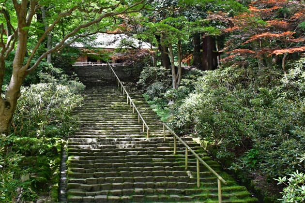 石段が映える寺社10選 日本屈指のパワースポットも Nikkei Style 石段が映える寺社10選 日本屈指のパワースポットも Nikkei Style