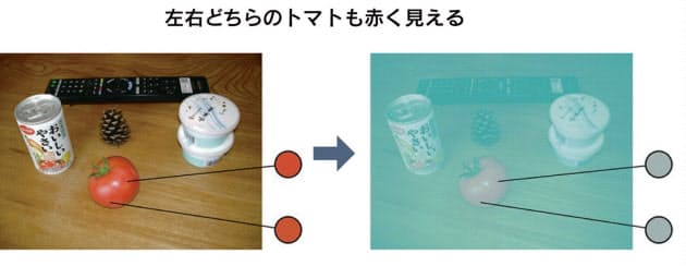 錯視の不思議 ドレスは青か金か カギは周囲の光 Nikkei Style 錯視の不思議 ドレスは青か金か カギは周囲の光 Nikkei Style