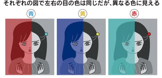 錯視の不思議 ドレスは青か金か カギは周囲の光 Nikkei Style 錯視の不思議 ドレスは青か金か カギは周囲の光 Nikkei Style