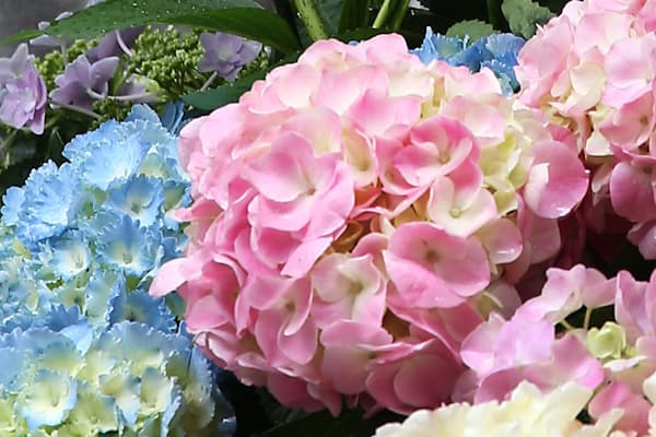 かき氷 を漢字で書くと チャレンジことばのドリル Nikkei Style かき氷 を漢字で書くと チャレンジことばのドリル Nikkei Style