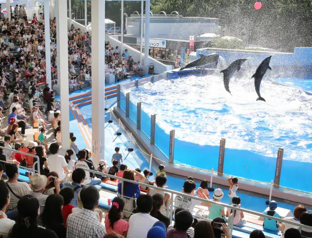 イルカ問題について 感情論ではなく世界の趨勢をみる Nikkei Style イルカ問題について 感情論ではなく世界の趨勢をみる Nikkei Style