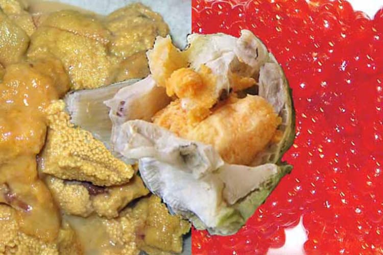 海の岩場のフジツボ 実は美味 青森 七子八珍を食す Nikkei Style 海の岩場のフジツボ 実は美味 青森 七子八珍を食す Nikkei Style