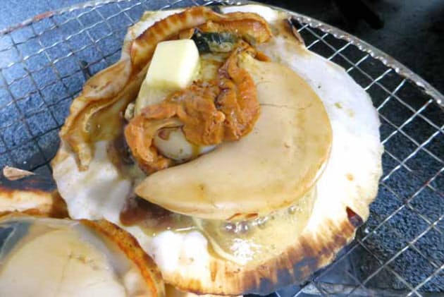 海の岩場のフジツボ 実は美味 青森 七子八珍を食す Nikkei Style 海の岩場のフジツボ 実は美味 青森 七子八珍を食す Nikkei Style