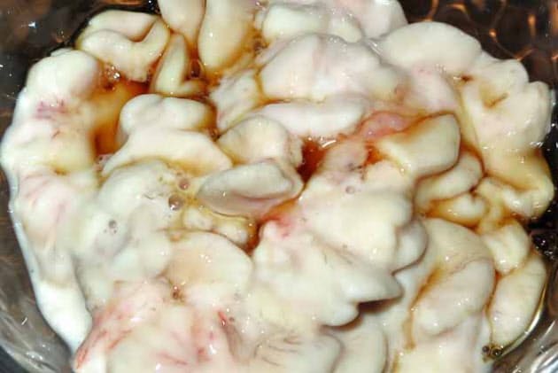 海の岩場のフジツボ 実は美味 青森 七子八珍を食す Nikkei Style 海の岩場のフジツボ 実は美味 青森 七子八珍を食す Nikkei Style