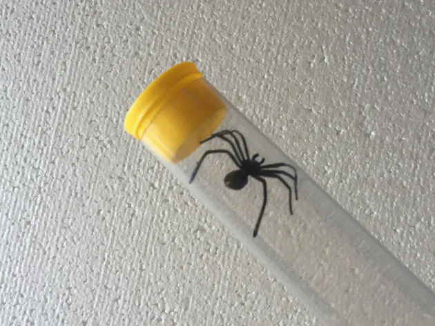 バキューム系から 着る蚊帳 まで 虫対策グッズ Nikkei Style バキューム系から 着る蚊帳 まで 虫対策グッズ Nikkei Style