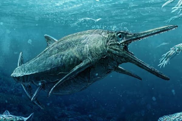 竜と暮らした中国人たち 太古の大洪水 巨人 竜は実在 伝説を科学で検証 Nikkei Style