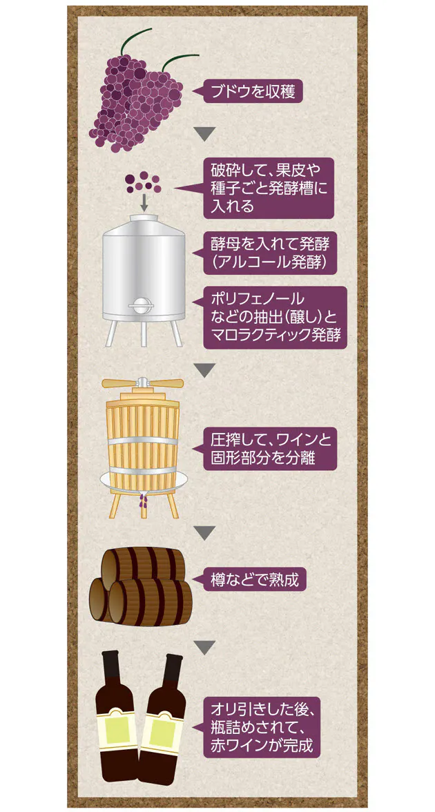 ワインの健康効果は価格と関係あるか Nikkei Style
