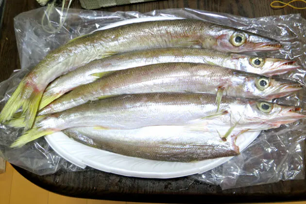 干物の背開き は高知 身を上に盛る は関西 九州 Nikkei Style 干物の背開き は高知 身を上に盛る は関西 九州 Nikkei Style