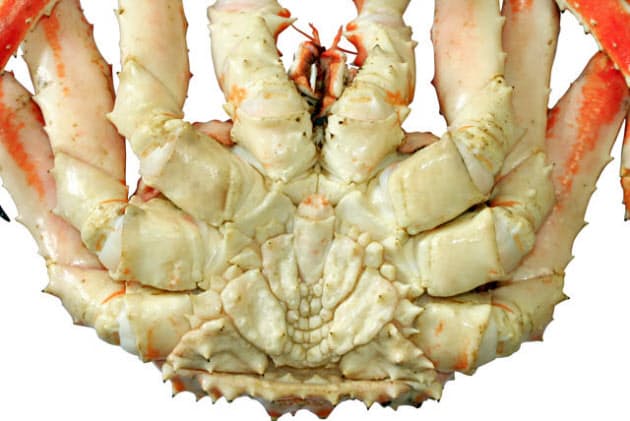 正月に食べたいめでたい美味 カニの王様 タラバガニ Nikkei Style 正月に食べたいめでたい美味 カニの王様 タラバガニ Nikkei Style