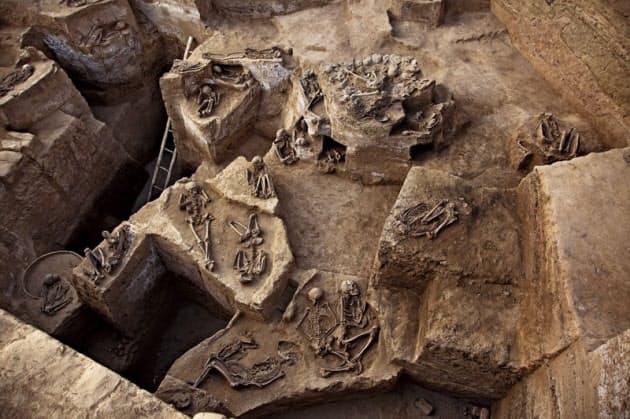 ペルーの古代遺跡に残るいけにえ 人は人を食べたのか 古代の4事例を読み解く Nikkei Style ペルーの古代遺跡に残るいけにえ 人は人を食べたのか 古代の4事例を読み解く Nikkei Style