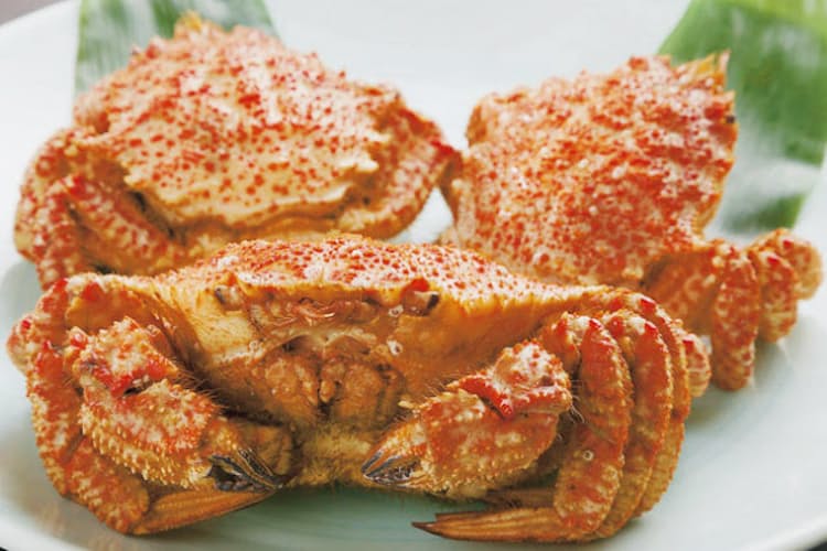 花見で食べたい甘い 桜ガニ みそ 内子たっぷり Nikkei Style 花見で食べたい甘い 桜ガニ みそ 内子たっぷり Nikkei Style