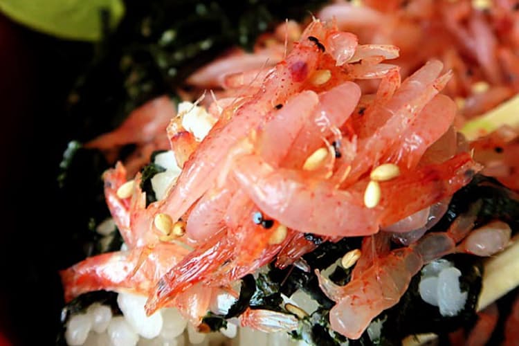 桜えび Gwが旬ど真ん中 漬け丼に 希少な生食も Nikkei Style 桜えび Gwが旬ど真ん中 漬け丼に 希少な生食も Nikkei Style