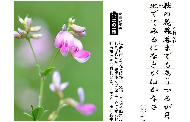 吉田正俊の萩の歌 短歌一口講座 月の光 Nikkei Style